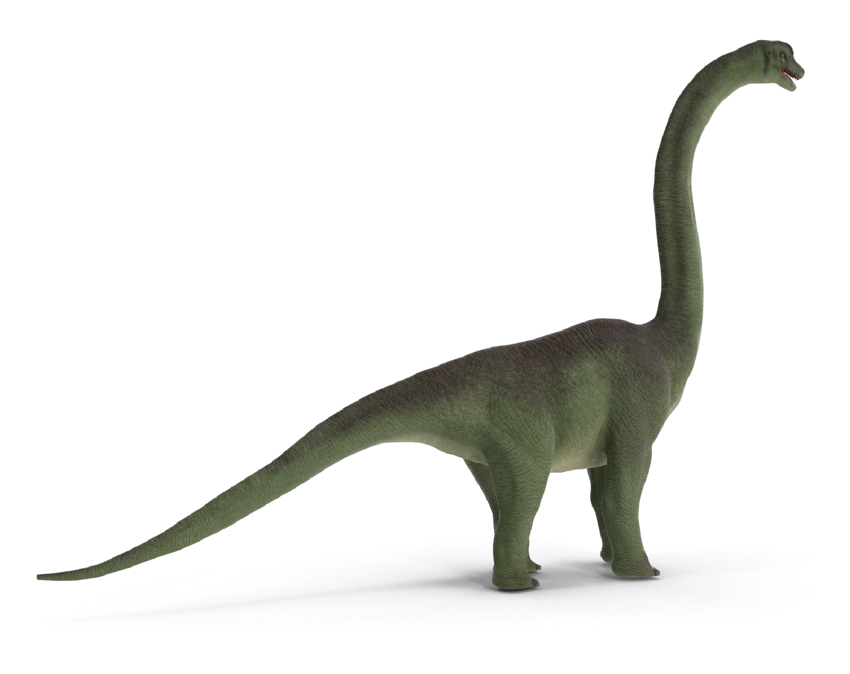 Dinosaur - Evolution